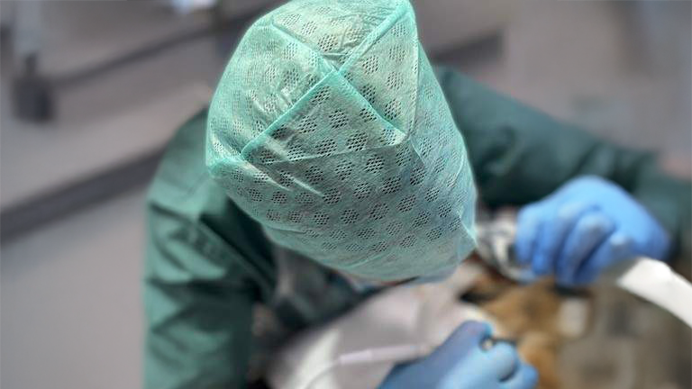 Veterinär opererar.